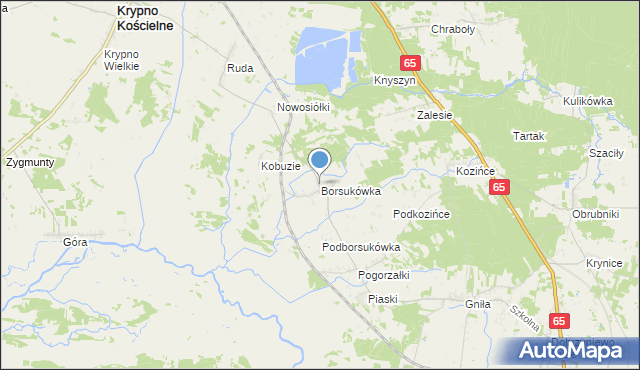 mapa Borsukówka, Borsukówka na mapie Targeo